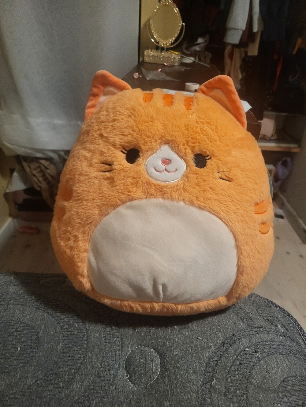 Plush Orange Cat Squishmallows Nwt